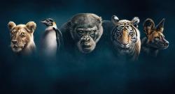 Dynasties izle