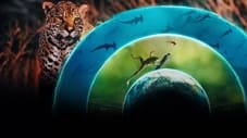 Our Living World izle