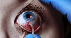 The Strain izle