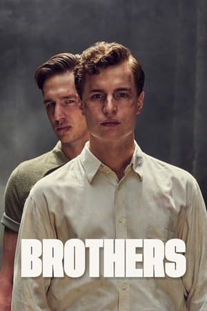 Brothers ( Bratri ) izle