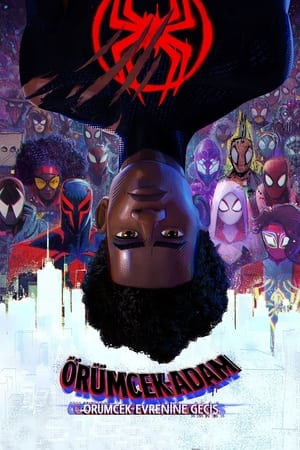 Örümcek-Adam: Örümcek Evrenine Geçiş ( SPIDER-MAN: ACROSS THE SPIDER-VERSE ) izle